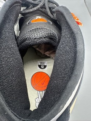 Size 13 - Nike Air Zoom Flight 95 Hoops