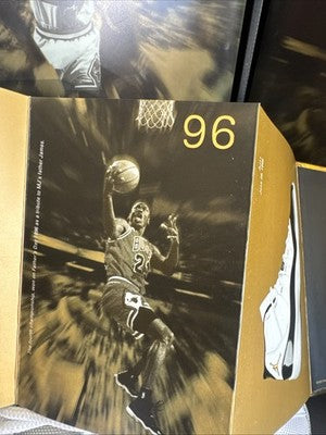 Size 10 - Air Jordan 6/11 Retro LE DMP Defining Moments Pack