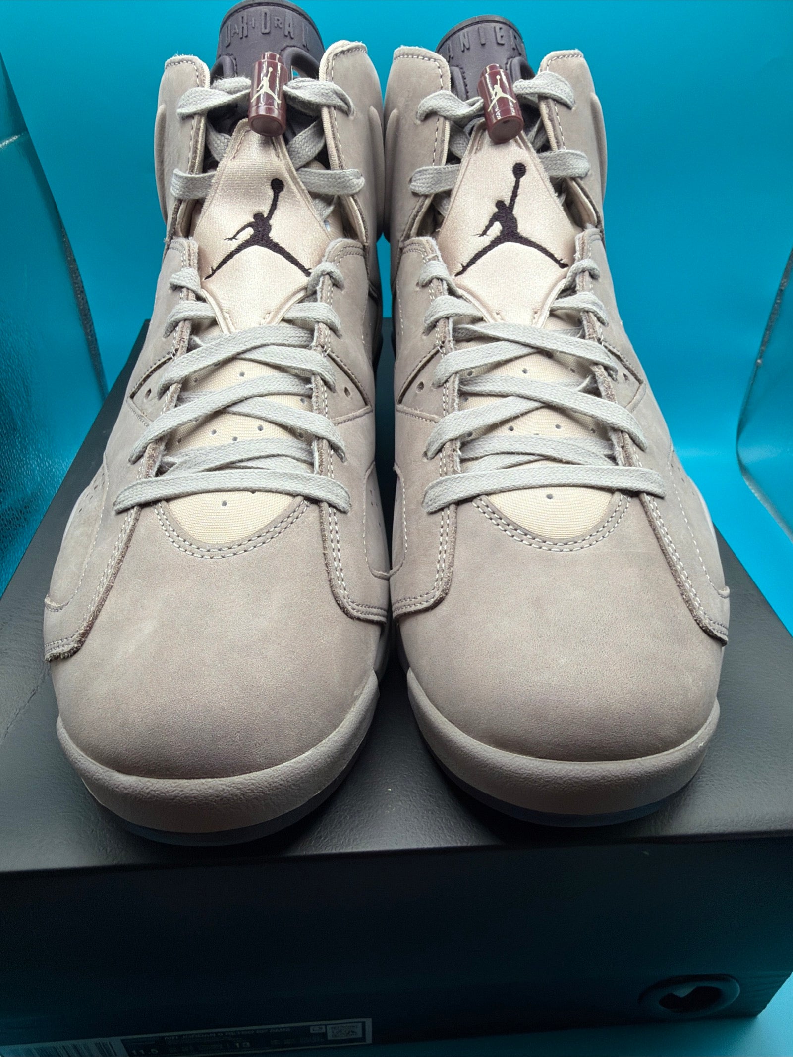Jordan 6 Retro A Ma Manière "Smokey Mauve" Men's size 11.5 Brand new!