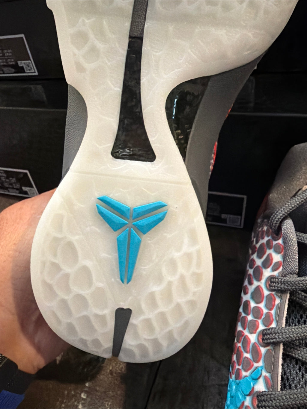 Kobe VI Protro "3D's" Brand new!